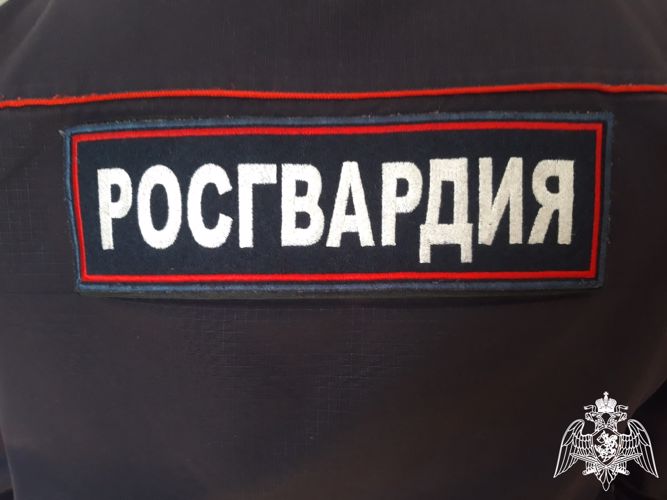 Подозреваемого в особо тяжком преступлении задержали сотрудники Росгвардии в Туве