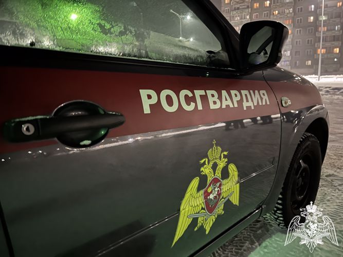 Уклонявшийся от обязательств гражданин задержан экипажем Росгвардии в Туве 