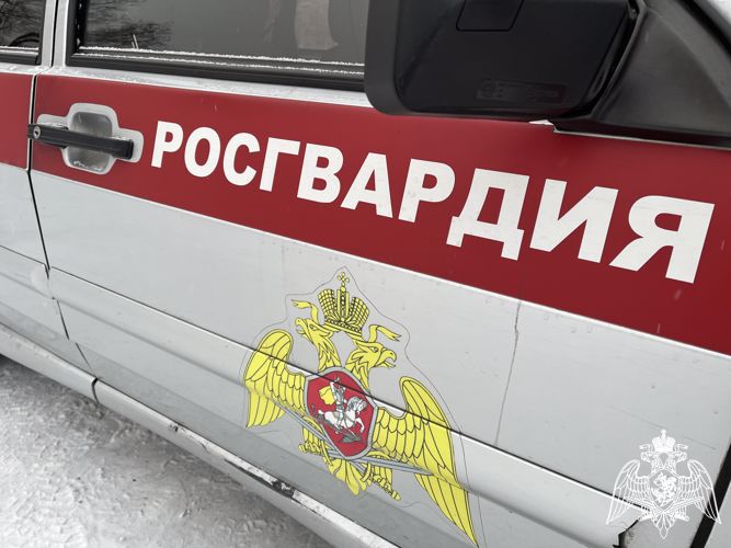 Росгвардейцы задержали жителя Кызыла за кражу с причинением значительного ущерба 