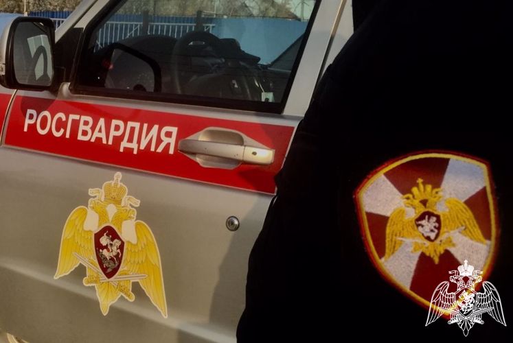 Росгвардейцы задержали подозреваемого в краже лошади