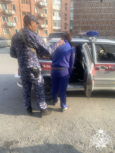 Росгвардейцы задержали подозреваемую в нанесении ножевых ранений в Туве 