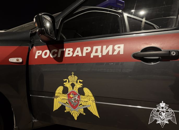 Росгвардейцы задержали находящегося в федеральном розыске мужчину в Туве