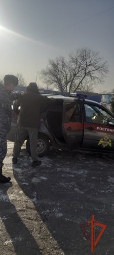 Росгвардией Тувы задержан мужчина за кражу сотового телефона 