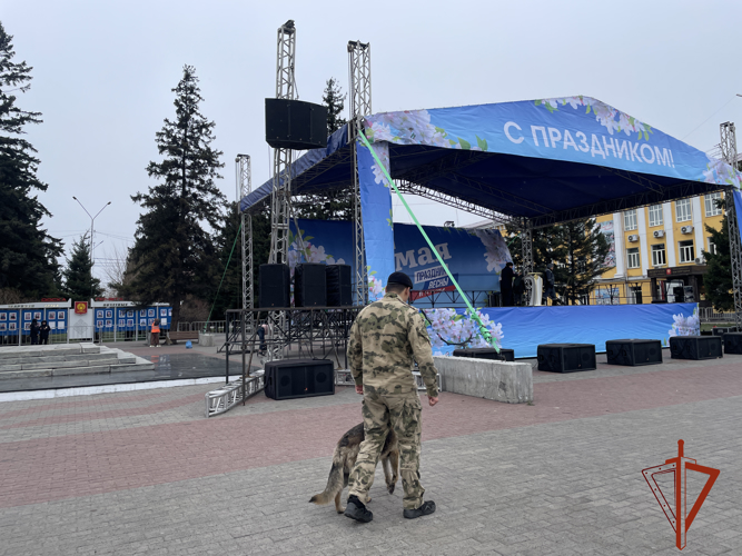 Росгвардейцы Кызыла обеспечили безопасность граждан во время праздника весны и труда 