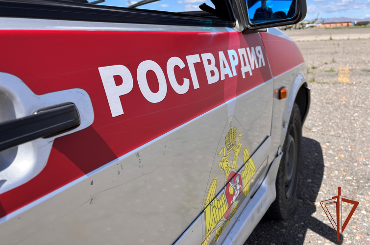 Тувинские росгвардейцы задержали скрывавшуюся от правосудия женщину 