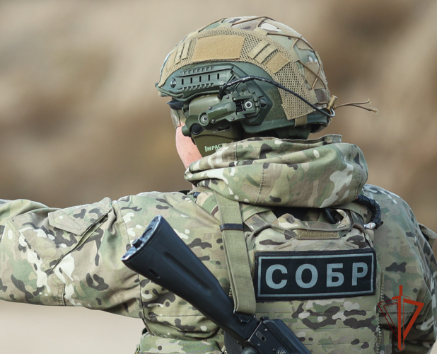 В Туве при силовой поддержке СОБР Росгвардии раскрыты два преступления и изъято два ранее похищенных сотовых телефона 