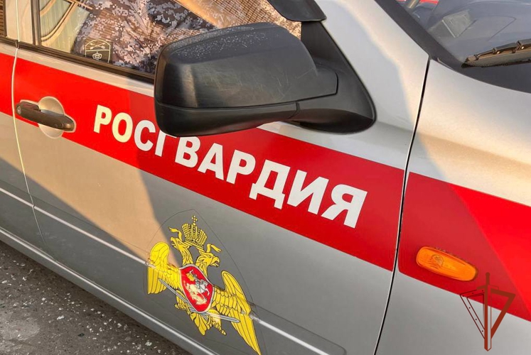 Барун-Хемчикские росгвардейцы задержали совершившую обманный перевод женщину