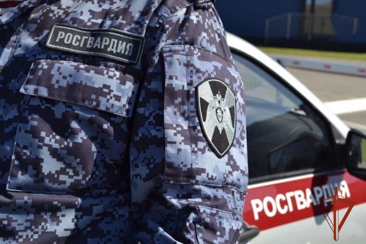 Росгвардейцы задержали укравшего золотые украшения  жителя Ак-Довурака