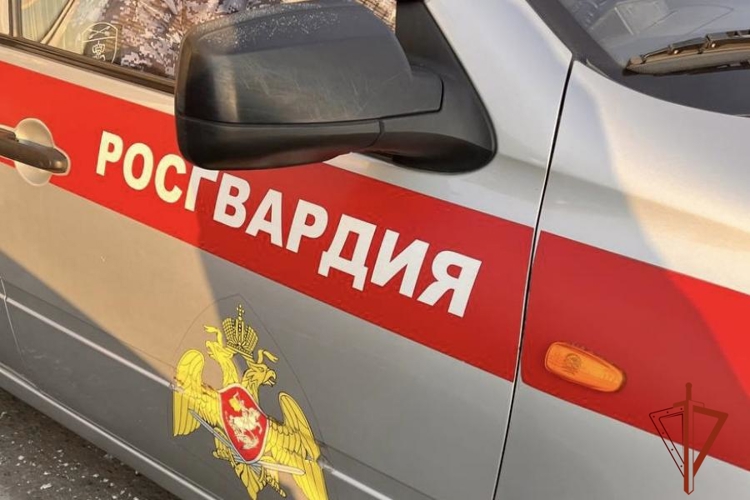 Росгвардейцы Тувы за сутки задержали двух граждан, подозреваемых в умышленном причинении тяжкого здоровья потерпевшим