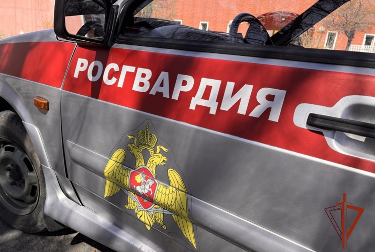 Наряд ОВО задержал совершившую кражу злоумышленницу в Туве 