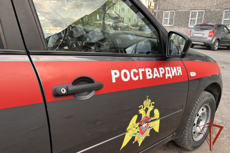 Свыше тысячи сигналов «тревога» отработала вневедомственная охрана в Туве за I полугодие 2026 года 