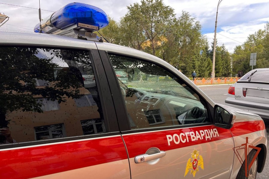 Экипаж Росгвардии задержал скрывавшегося от правоохранительных органов жителя Тувы