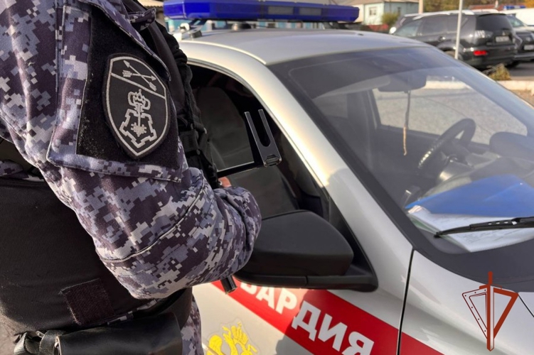 В Туве наряды Росгвардии за сутки задержали двух лиц, разыскиваемых правоохранительными органами
