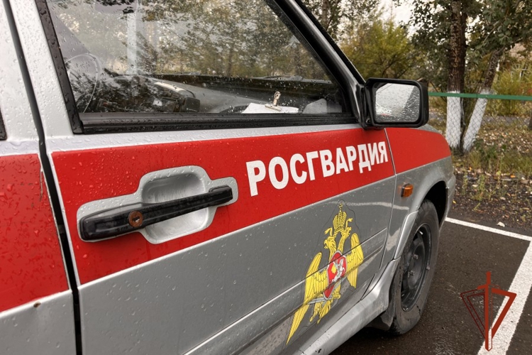 Свыше двух тысяч выездов совершили экипажи вневедомственной охраны Тувы за 8 месяцев 2026 года