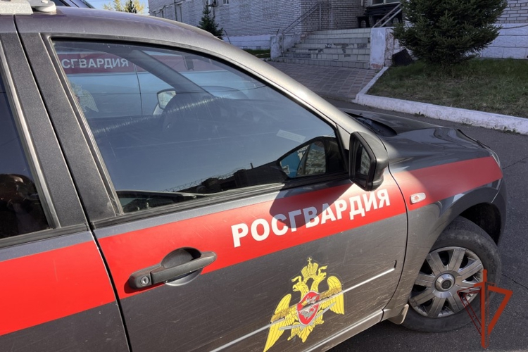 Вневедомственная охрана Тувы проверила свыше двухсот пятидесяти объектов на антитеррористическую защищенность за 8 месяцев 2026 года 
