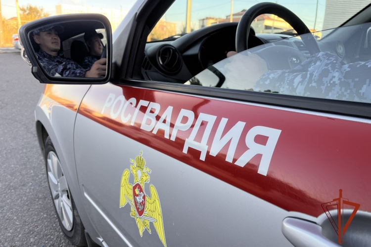 В Туве росгвардейцы отговорили местную жительницу от совершения необдуманного шага