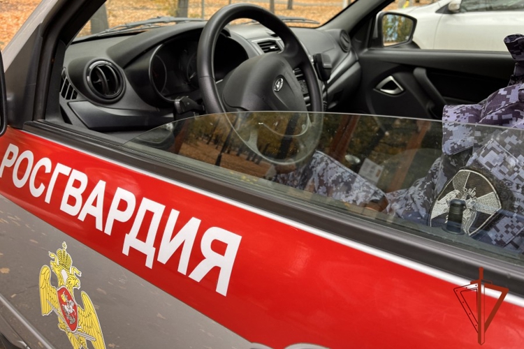 В Туве росгвардейцы задержали причинившего тяжкий вред мужчину